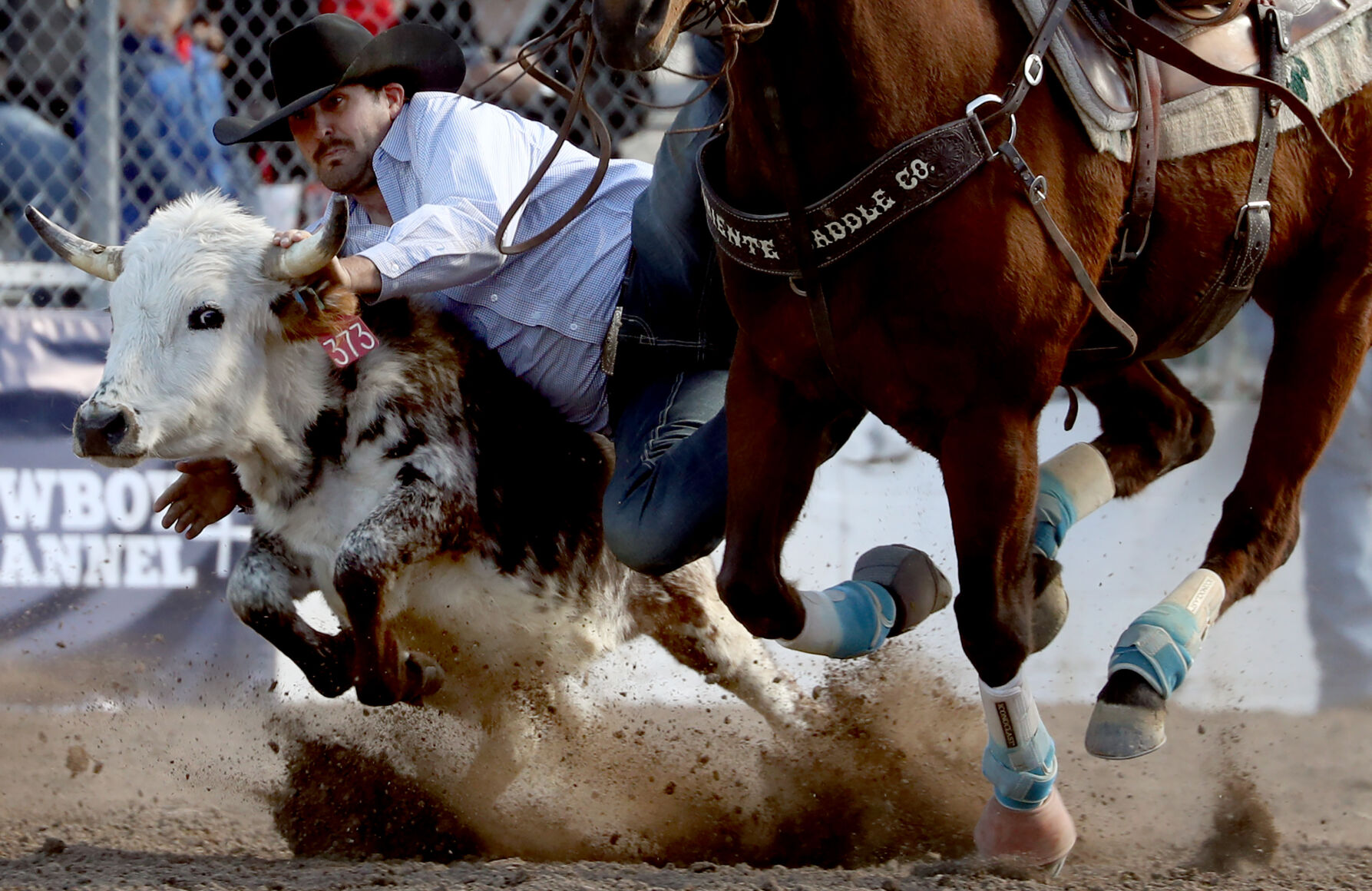 Tucson Rodeo